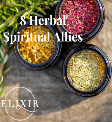 Herbal Spiritual Circle (4 sessions)